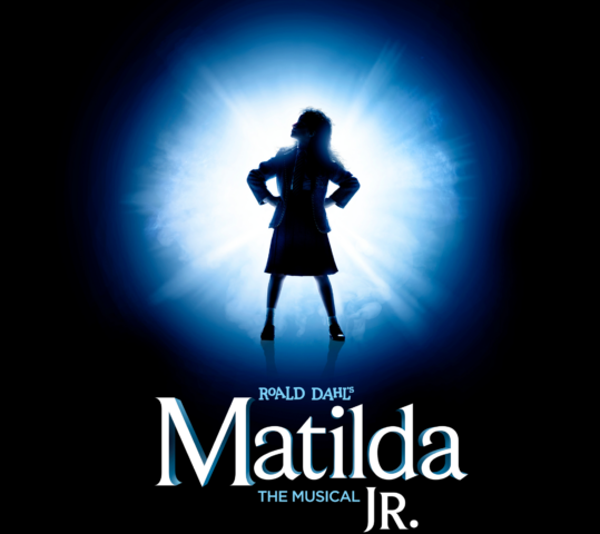 REVOLTINGLY GOOD FUN!